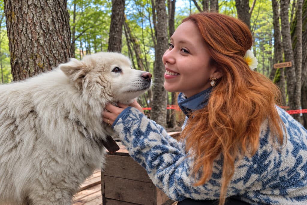 turista tomandose foto con perro husky siberiano durante la excursión Aventura Valle