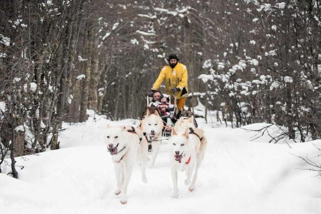 Excursionista disfrutando de la travesía en trineos tirados por Huskies