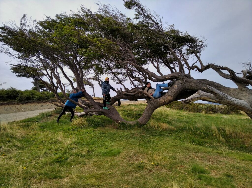 Excursionistas tomàndose una foto junto al icònico "Àrbol Bandera"