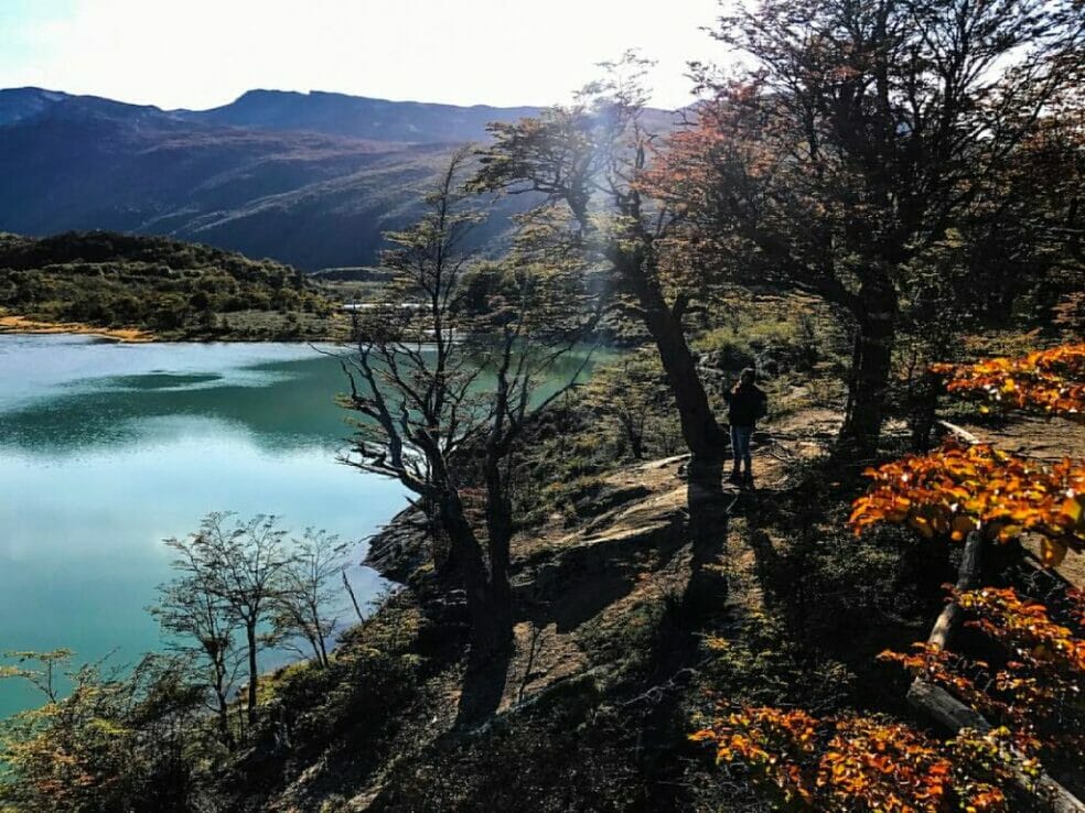 La Laguna Verde vista de entre los bosques fueguinos