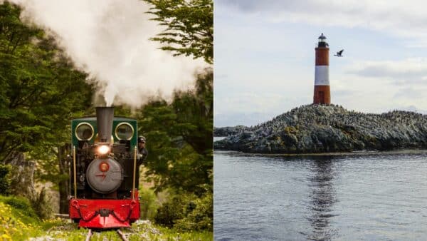Combinaciòn de las excursiones Parque Nacional + Navegación Pinguinera