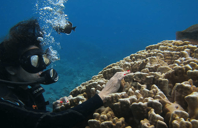 Buceo de bautismo