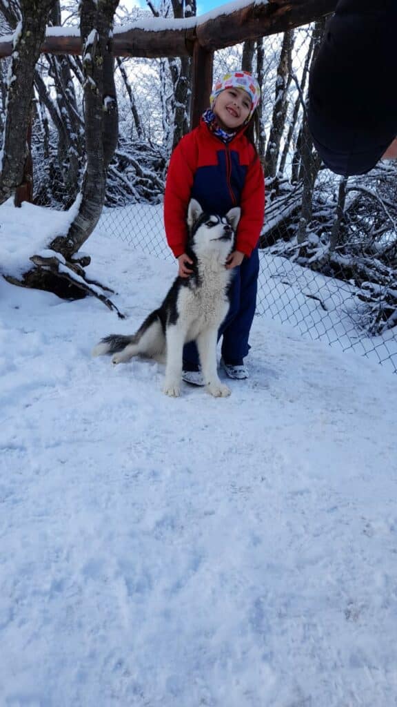 Pequeña excursionista en compañìa de un pequeño Husky en el criadero de Huskies