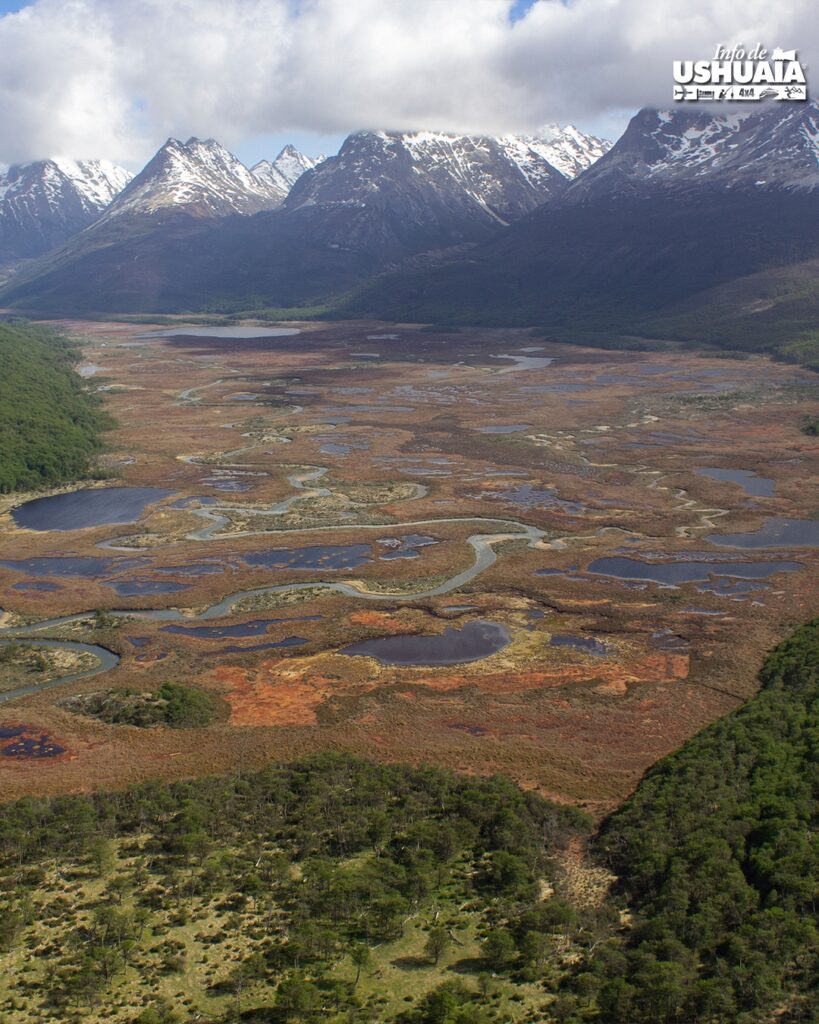 Turberas del Valle Carbajal Tierra del Fuego