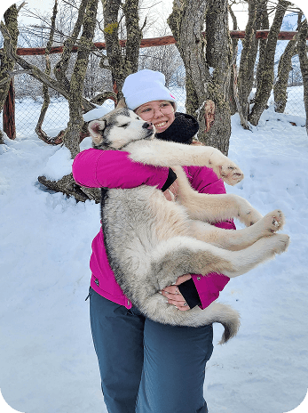 Huskies Siberianos Día Blanco Ushuaia Invierno