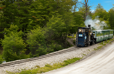 Parque Nacional + Tren del Fin del Mundo Imperdible