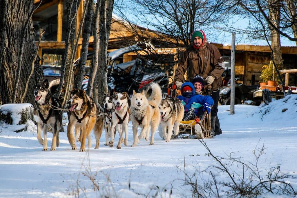 paseo en trineo de nieve con perros huskies siberianos en Ushuaia